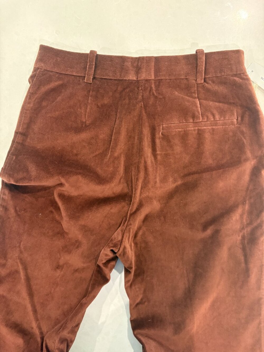 Wilfred by Aritzia velvet high rise pants - Picture 6 of 12